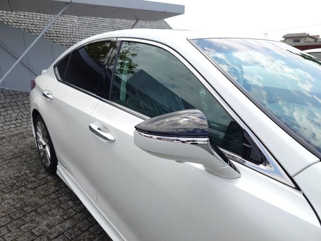 LEXUS ES300h