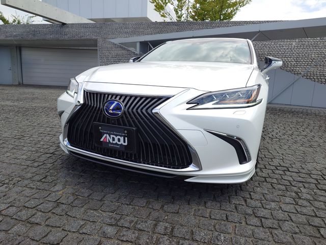 LEXUS ES300h