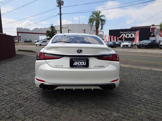 LEXUS ES300h