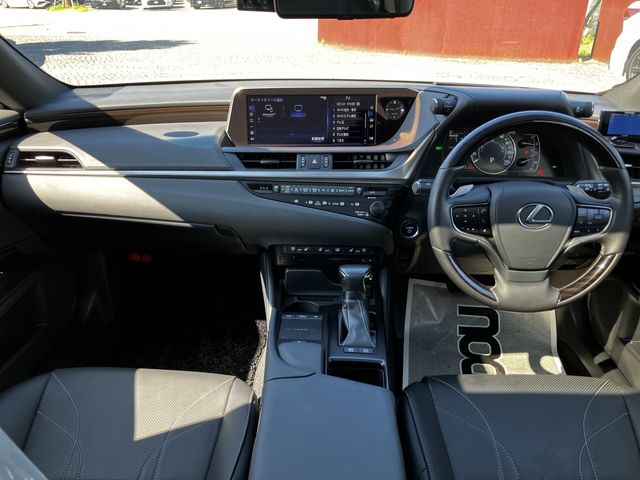 LEXUS ES300h