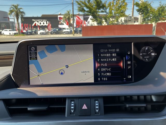 LEXUS ES300h