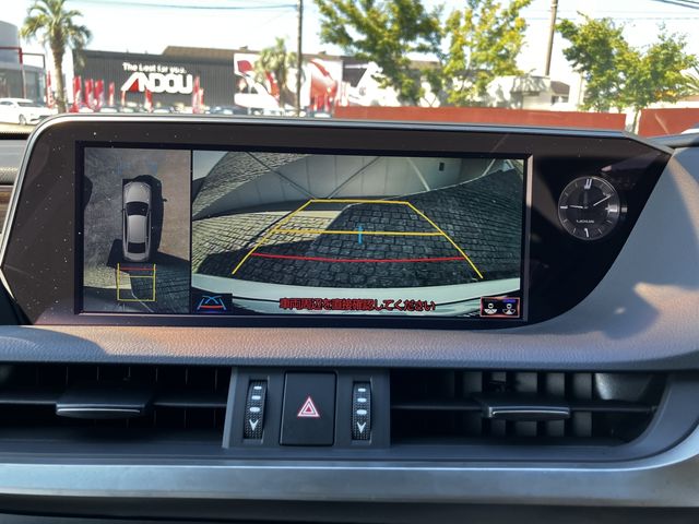 LEXUS ES300h