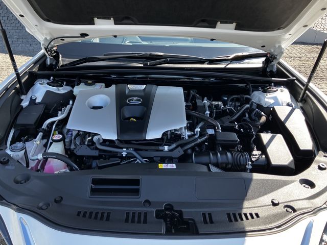 LEXUS ES300h