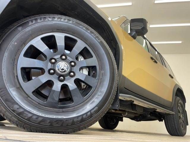 LANDCRUISER 250