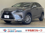 LEXUS NX300h