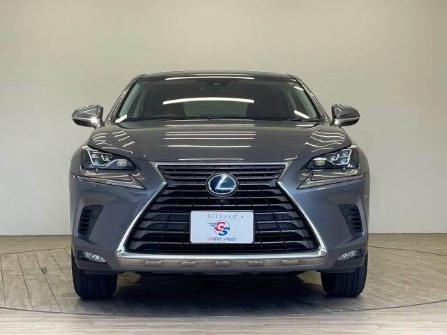 LEXUS NX300h