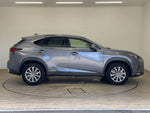 LEXUS NX300h