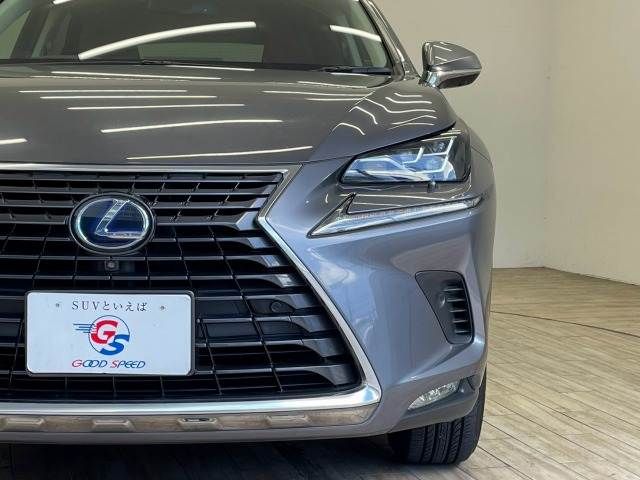 LEXUS NX300h