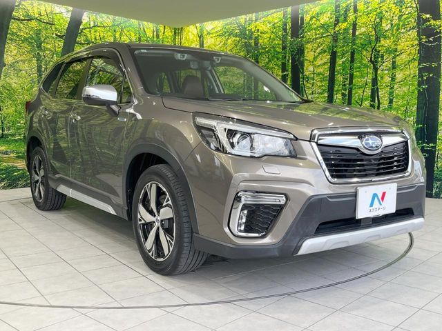 FORESTER