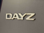 DAYZ