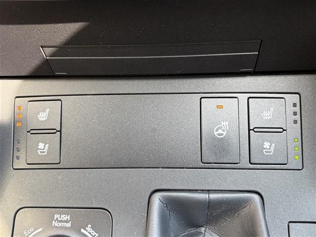 LEXUS IS300h
