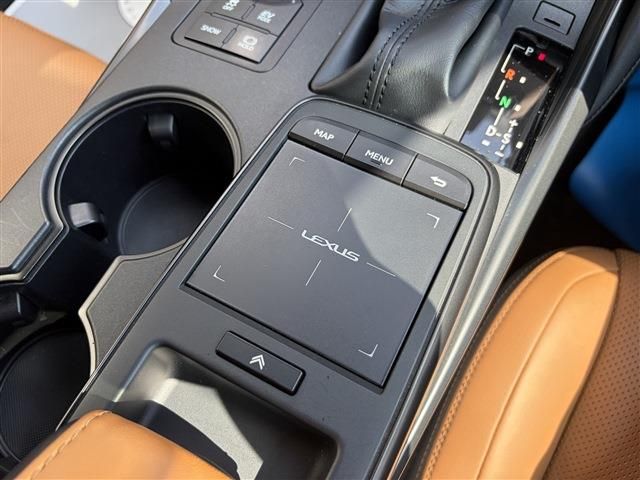 LEXUS IS300h