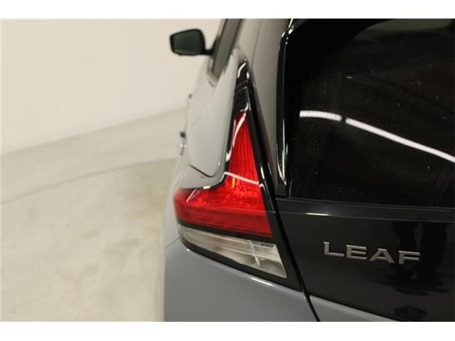 LEAF