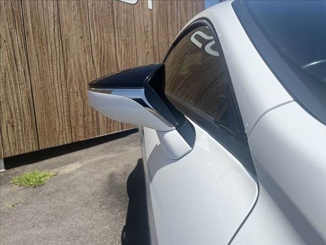 LEXUS RC300h