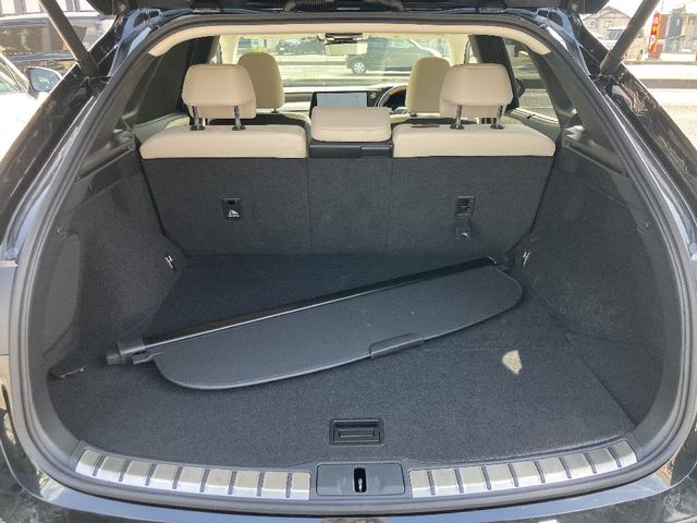 LEXUS RX450h+