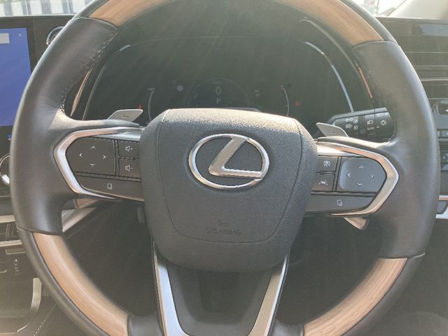 LEXUS RX450h+