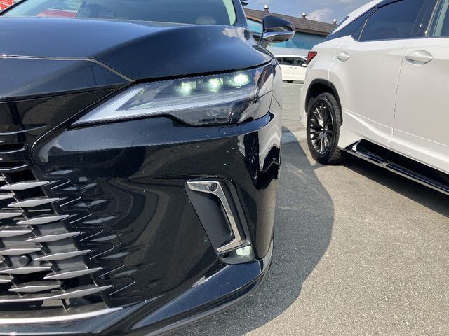 LEXUS RX450h+