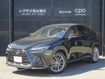 LEXUS NX250