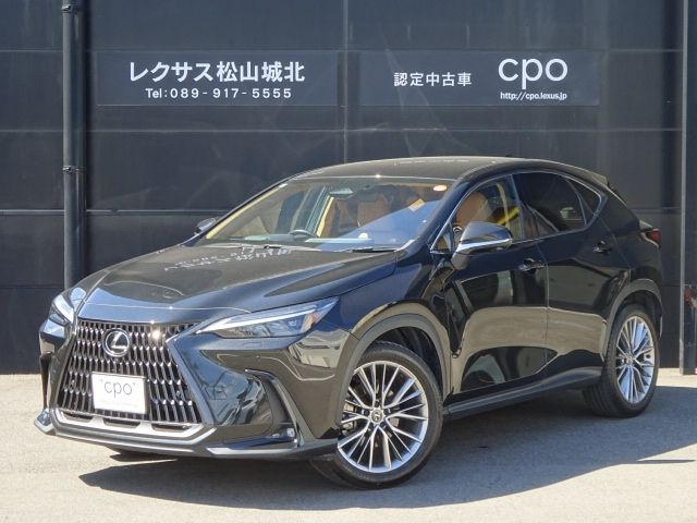 LEXUS NX250