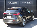 LEXUS NX250