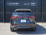 LEXUS NX250