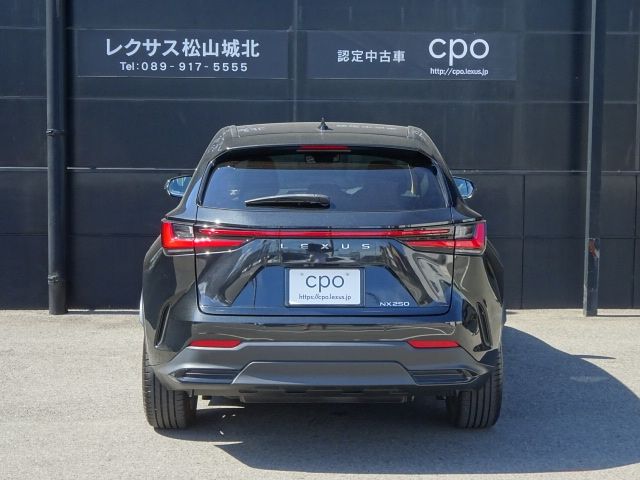 LEXUS NX250