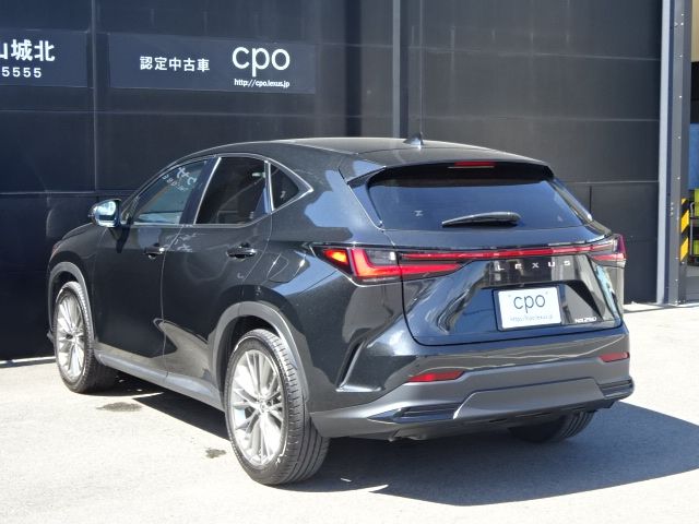 LEXUS NX250