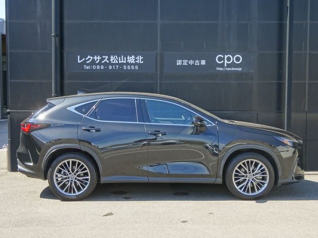 LEXUS NX250