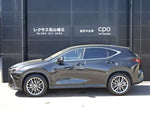 LEXUS NX250