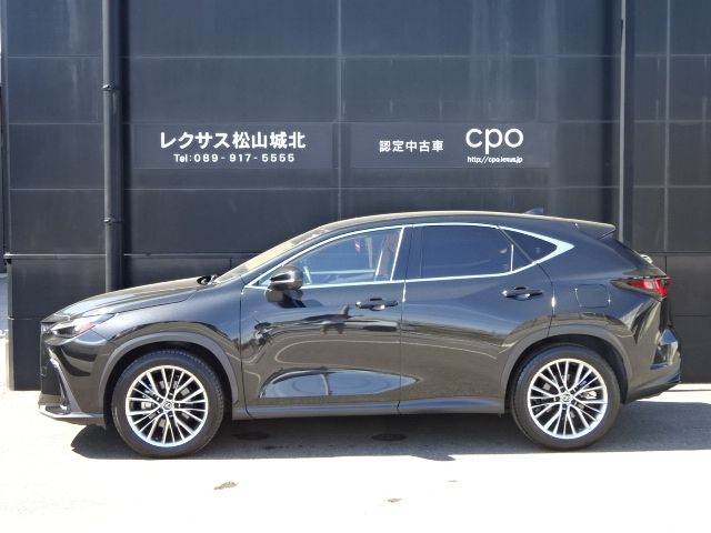 LEXUS NX250