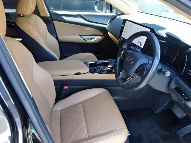 LEXUS NX250