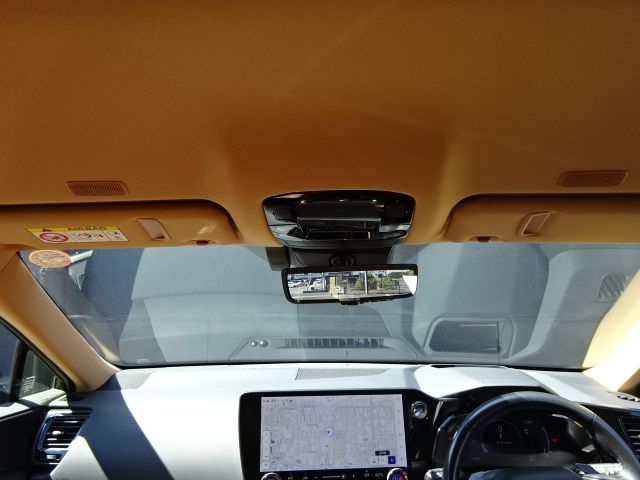 LEXUS NX250
