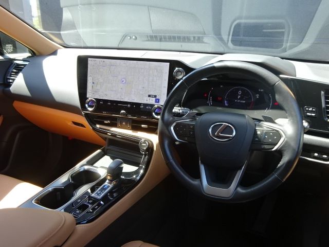 LEXUS NX250