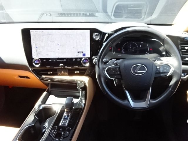LEXUS NX250