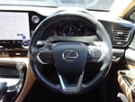 LEXUS NX250