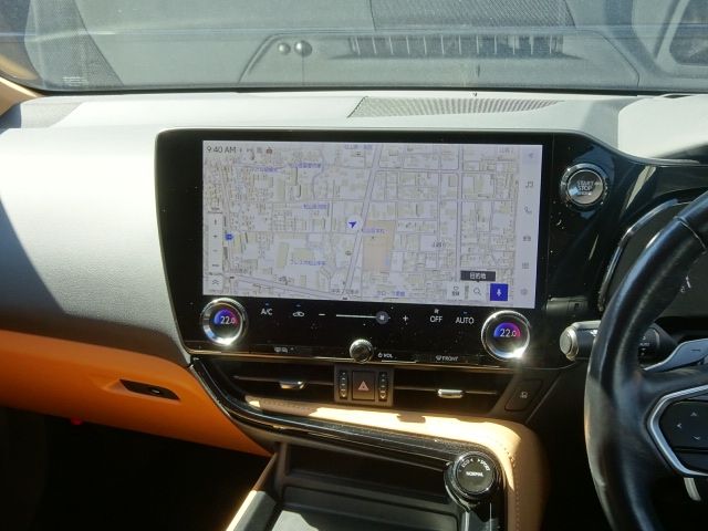 LEXUS NX250