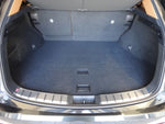 LEXUS NX250