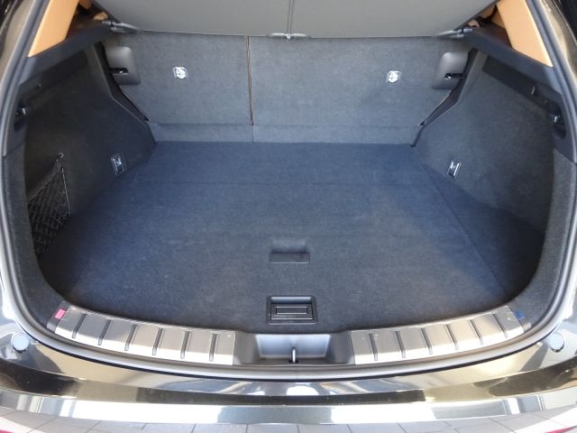 LEXUS NX250