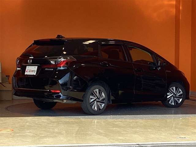 SHUTTLE HYBRID