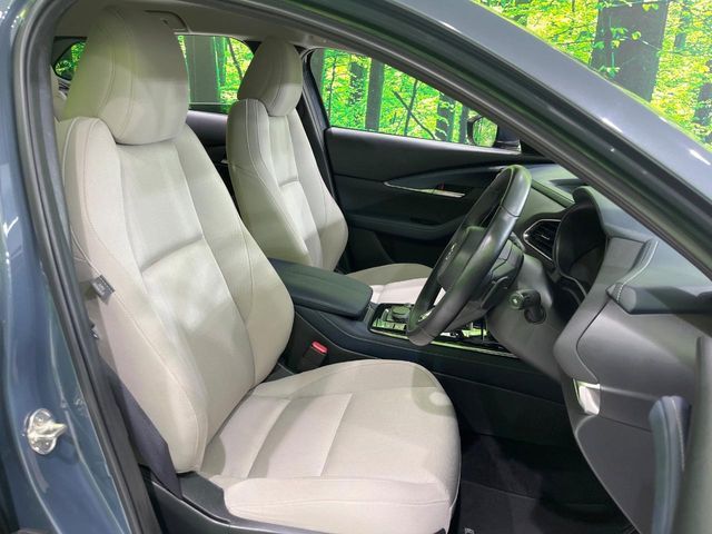 CX-30