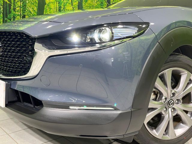 CX-30