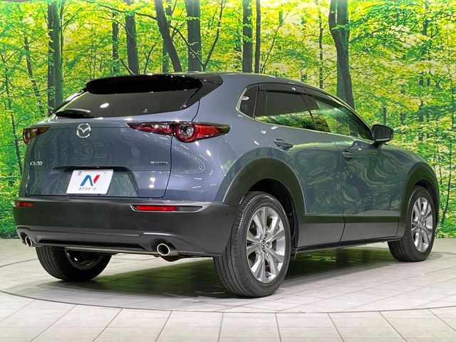 CX-30