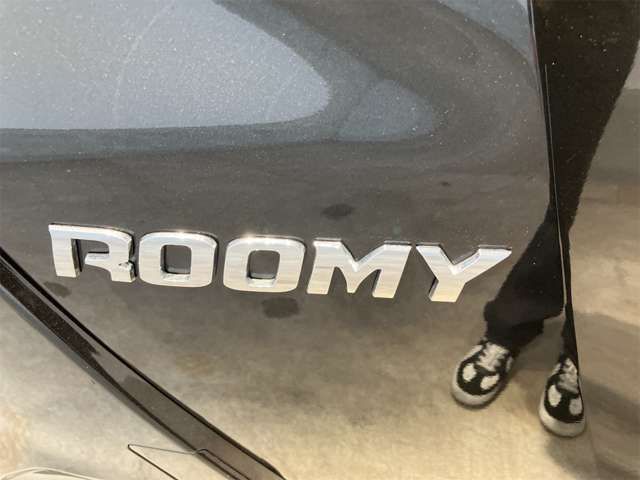 ROOMY