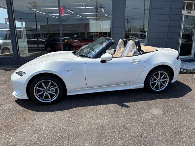 ROADSTER