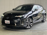 LEXUS UX250h