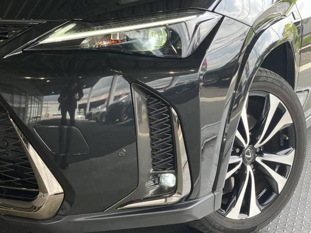 LEXUS UX250h