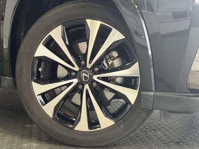 LEXUS UX250h