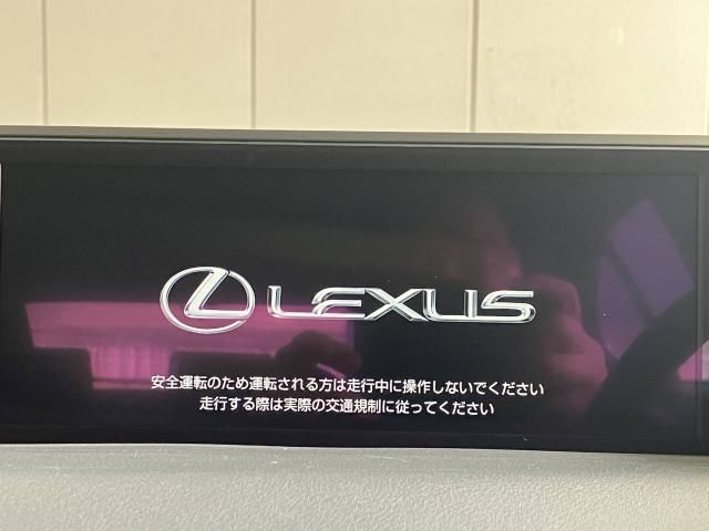 LEXUS UX250h