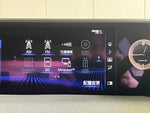 LEXUS UX250h