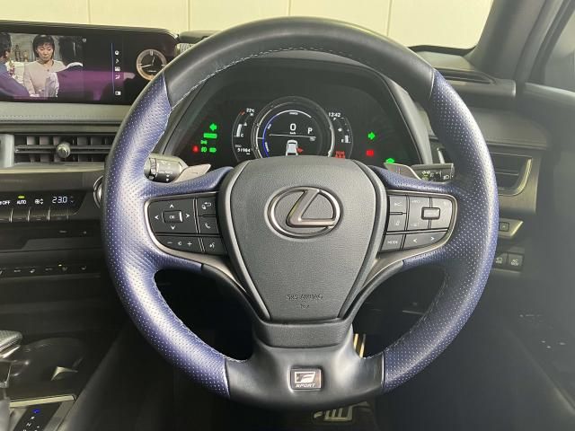 LEXUS UX250h